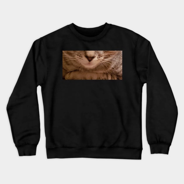 Kitten face! Crewneck Sweatshirt by DancingCreek